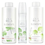 pachet 2 wella elements renewing - sampon, balsam si spray leave - in.jpg